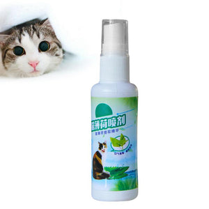 Spray de Catnip