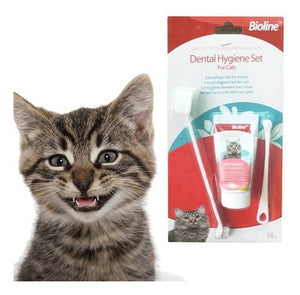 Set de Higiene Dental para gatos