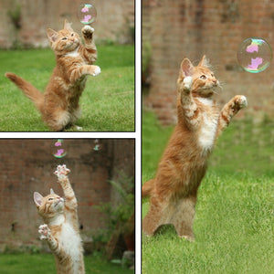 Burbujas de Catnip para gatos